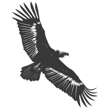 AI generated Silhouette vulture bird animal fly black color only png