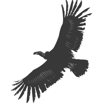 AI generated Silhouette vulture bird animal fly black color only png