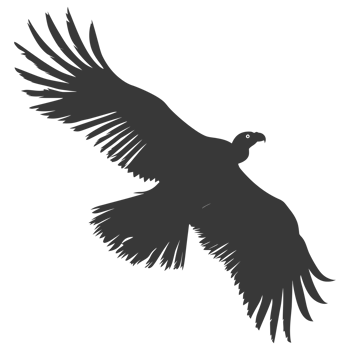 AI generated Silhouette vulture bird animal fly black color only png