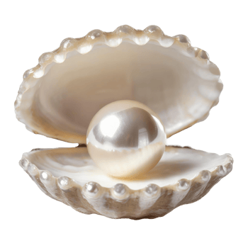 AI generated Round pearl nestled within an open shell, isolated on transparent background png