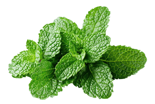 AI generated Fresh green mint leaves on transparent background - stock png. png