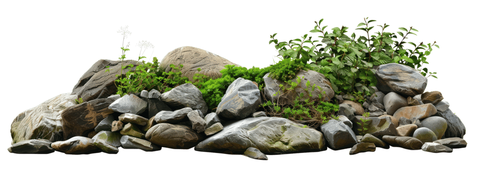 AI generated Serene rocky garden with diverse plants and stones on transparent background - stock png. png