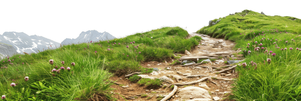 AI generated Scenic mountain trail through lush greenery and rocky terrain on transparent background - stock png. png