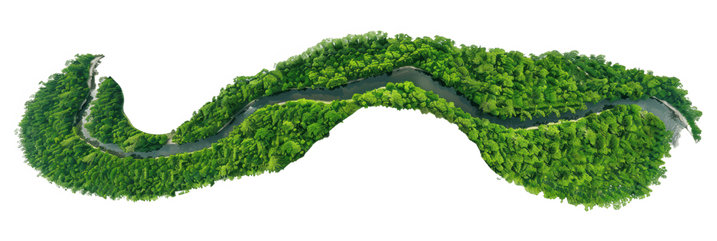 AI generated Lush green forested river island from aerial perspective on transparent background - stock png. png