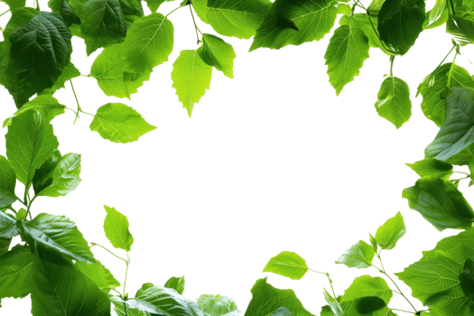 AI generated Beautiful green frame with leaves on a transparent background png