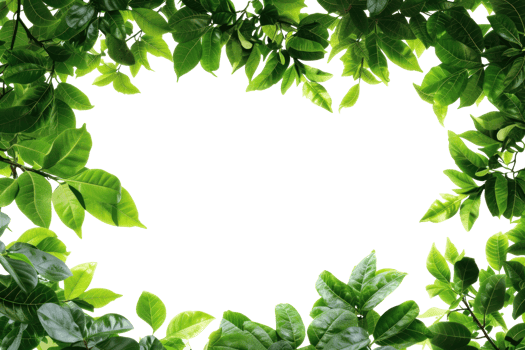 AI generated Beautiful green frame with leaves on a transparent background png