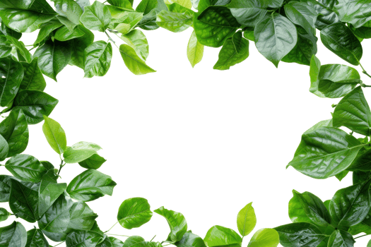 AI generated Beautiful green frame with leaves on a transparent background png