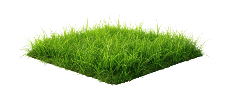 AI generated Small green grass lawn of square shape. Realistic natural element on a transparent background png