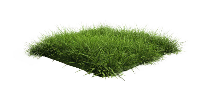 AI generated Small green grass lawn of square shape. Realistic natural element on a transparent background png