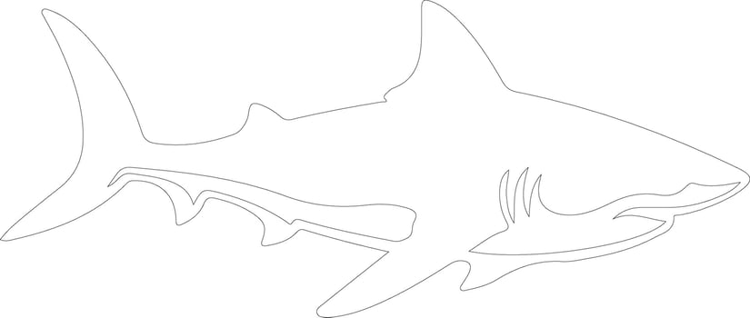 AI generated luminous shark  outline silhouette vector