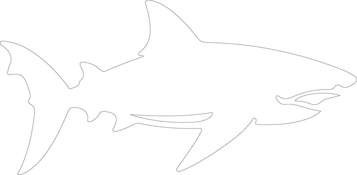 AI generated luminous shark  outline silhouette vector