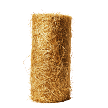 AI generated A cylinder of hay on a transparent background png