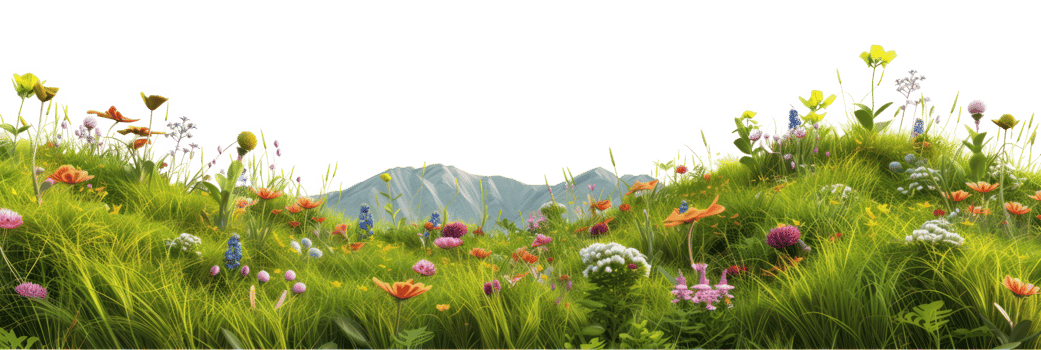 AI generated Alpine meadow on a transparent background png