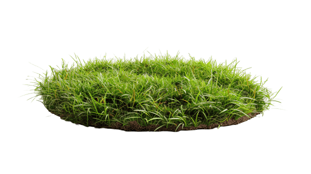 AI generated Circle grass isolated on a transparent background png