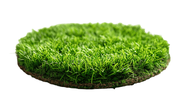 AI generated Circle grass isolated on a transparent background png