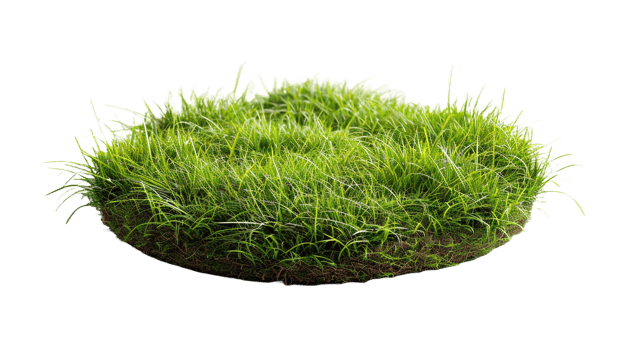 AI generated Circle grass isolated on a transparent background png
