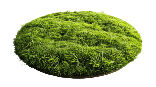AI generated Circle grass isolated on a transparent background png