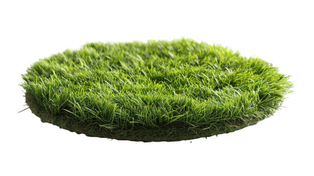 AI generated Circle grass isolated on a transparent background png