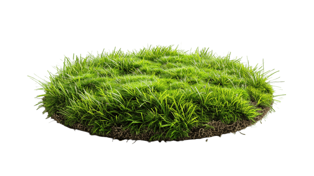 AI generated Circle grass isolated on a transparent background png