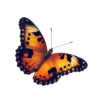 AI generated Colorful butterfly isolated on transparent background png