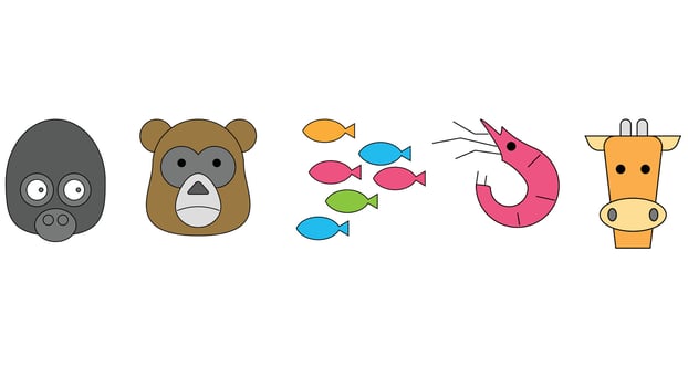 Forest, sea world, and pet animals vector illustration isolated