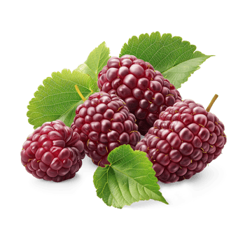 AI generated Fresh Mulberries pile on the floor, Healthy organic berry natural ingredients concept, AI generated, PNG transparency with shadow