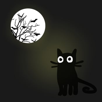Halloween hand drawn night vector background with funny black cat and shining spooky moon