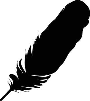 Feather silhouette vector illustration