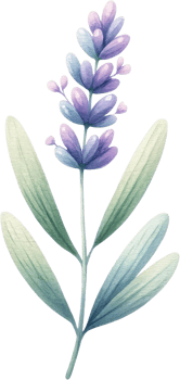 AI generated Parent and Baby Lavender watercolor Illustration, A digital drawing of a large lavender plant with smaller blooms, conveying growth and familial bonds. png