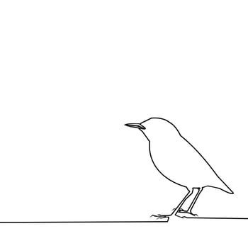 Draw a line depicting the silhouette of a standing bird vector