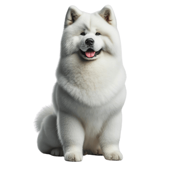 AI generated Versatile Dog Clipart with Clear Background for Various Projects png