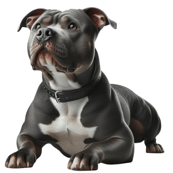 AI generated Elegant American Pit Bull Terrier Enjoying Quality Time Outdoors png
