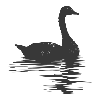 AI generated Silhouette goose animal swim black color only full black color only png