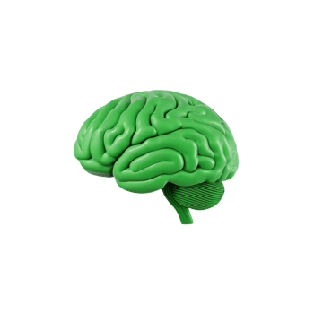 AI generated 3D model of the human brain green, on transparent background png