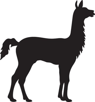 Llama Silhouette Vector Illustration White Background