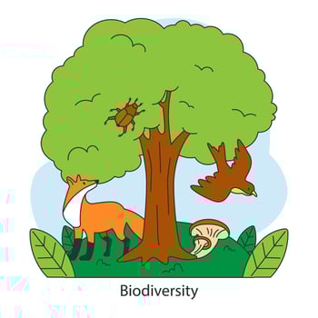 Biodiversity. Fox, bird, beetle, and mushroom under a lush tree. Interconnected vector