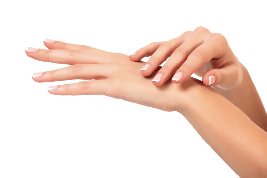 Well-groomed female hands, isolated. Skin care concept. Beauty treatment png
