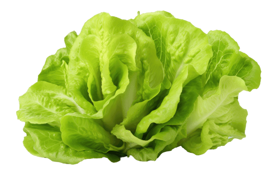 AI generated Fresh Green Lettuce On Transparent Background png