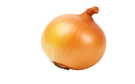AI generated Crisp Onion On Transparent Background png