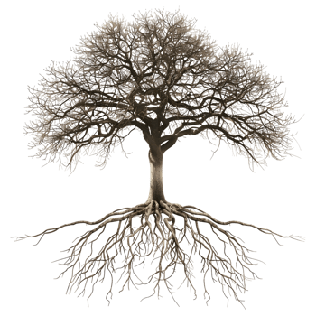 AI generated 3D Rendering of a Green Tree with Roots on Transparent Background - Ai Generated png