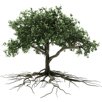 AI generated 3D Rendering of a Green Tree with Roots on Transparent Background - Ai Generated png