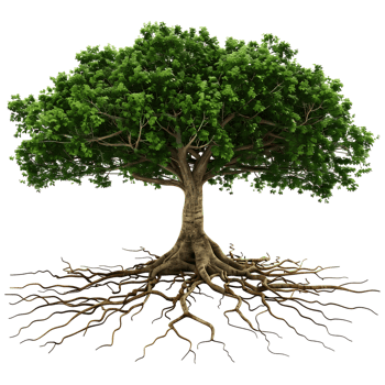 AI generated 3D Rendering of a Green Tree with Roots on Transparent Background - Ai Generated png