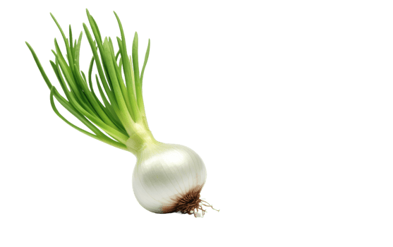 AI generated Onion Plant On Transparent Background. png
