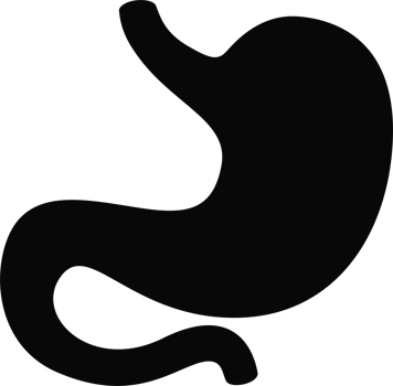 illustration stomach simple png