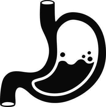 illustration stomach simple png
