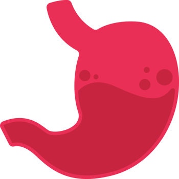 illustration stomach simple png