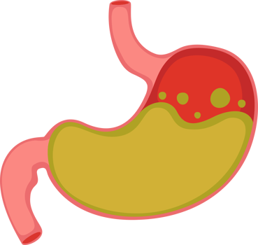 illustration stomach simple png