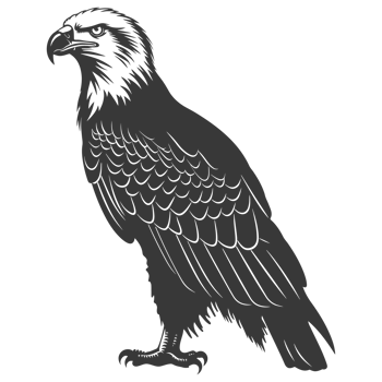 AI generated Silhouette eagle animal black color only full body png