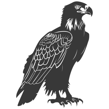 AI generated Silhouette eagle animal black color only full body png