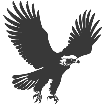 AI generated Silhouette eagle animal black color only full body png